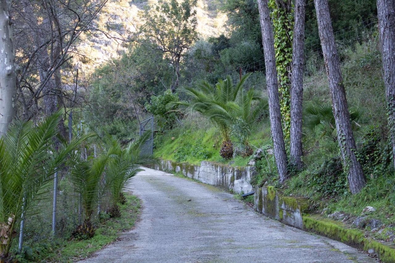 Stay Wild En Las Casitas De Huerta Arriba بيناماهوما المظهر الخارجي الصورة