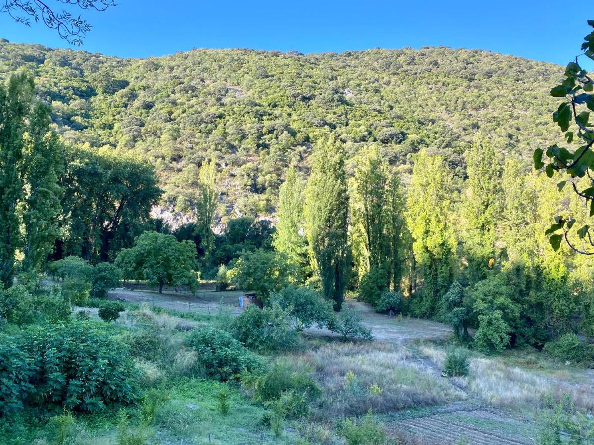 Stay Wild En Las Casitas De Huerta Arriba بيناماهوما المظهر الخارجي الصورة