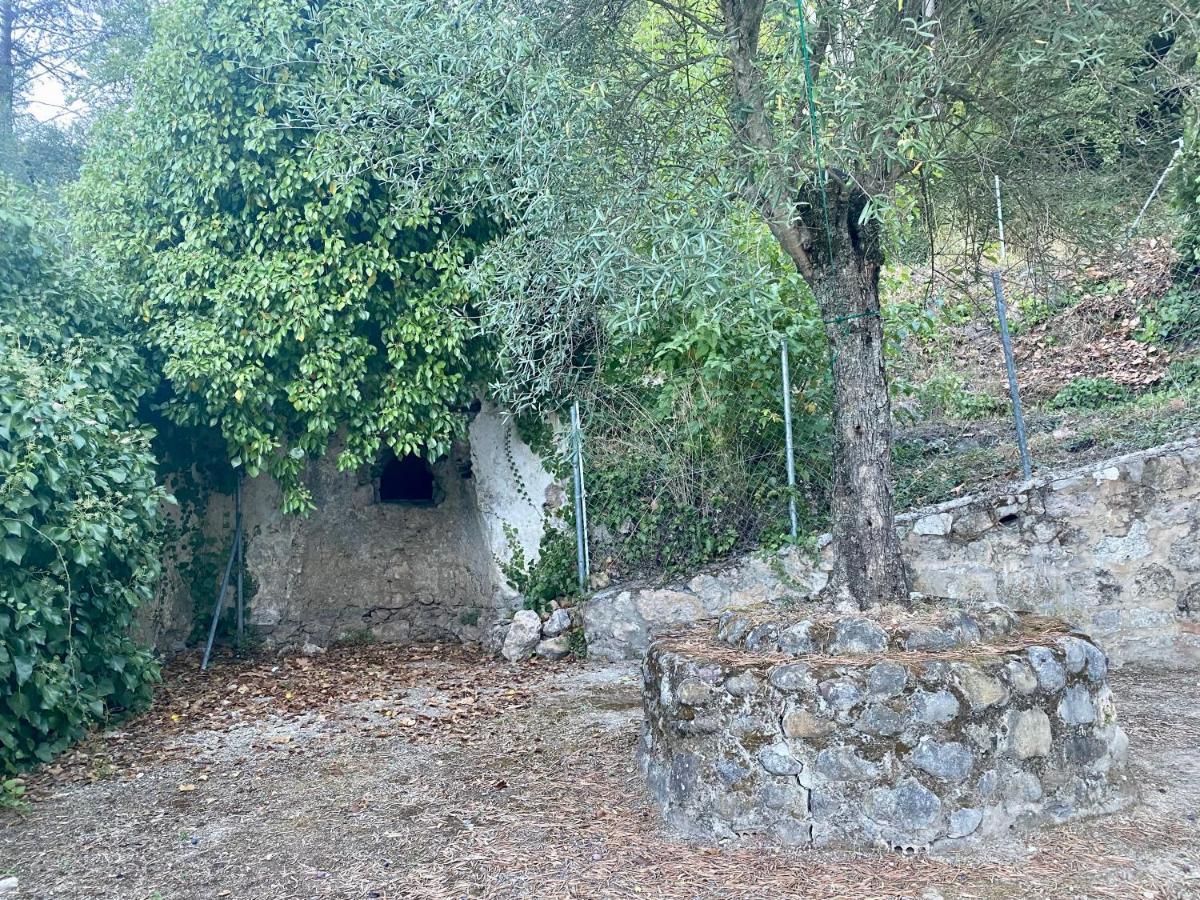 Stay Wild En Las Casitas De Huerta Arriba بيناماهوما المظهر الخارجي الصورة